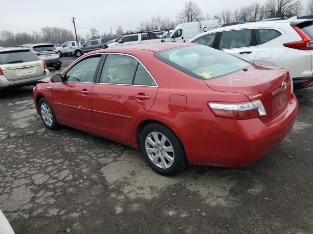 2009 Toyota Camry Hybrid