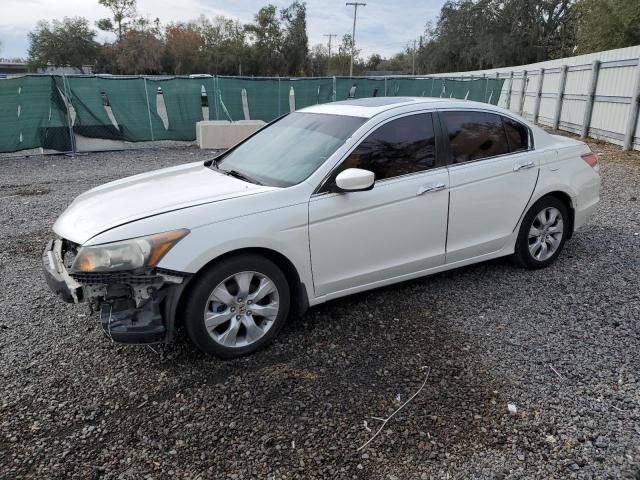 2010 Honda Accord EXL