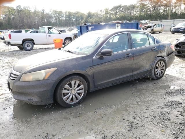 2011 Honda Accord EXL