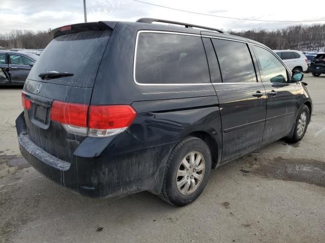 2008 Honda Odyssey EXL