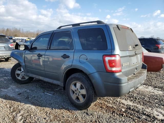 2011 Ford Escape XLT