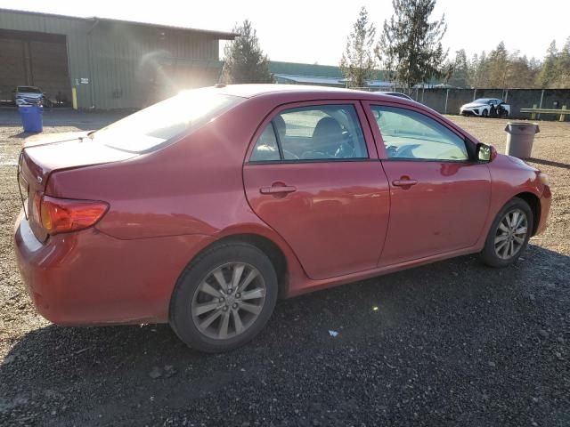 2010 Toyota Corolla Base