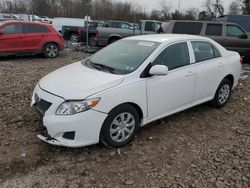 Vehiculos salvage en venta de Copart Chalfont, PA: 2010 Toyota Corolla Base