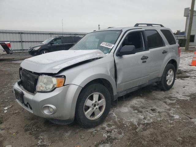 2011 Ford Escape XLT