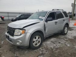 Salvage Cars with No Bids Yet For Sale at auction: 2011 Ford Escape XLT