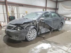 Salvage cars for sale at Leroy, NY auction: 2012 Toyota Corolla Base