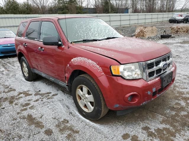 2011 Ford Escape XLS