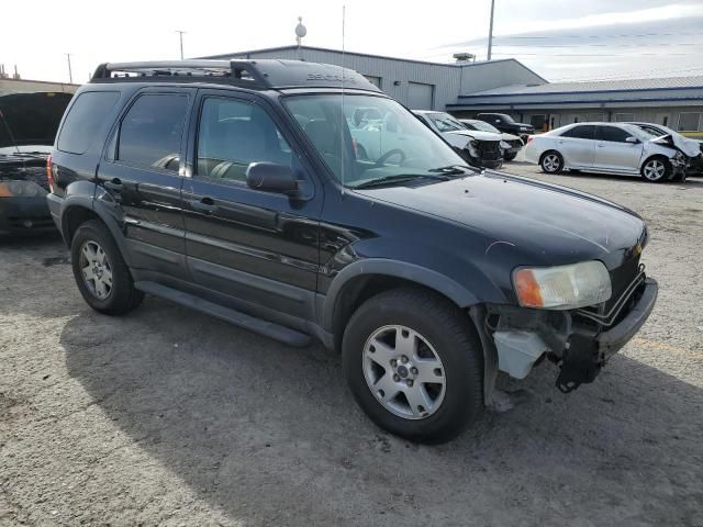 2003 Ford Escape XLT