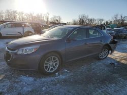 Salvage cars for sale at Baltimore, MD auction: 2015 Chevrolet Malibu 1LT