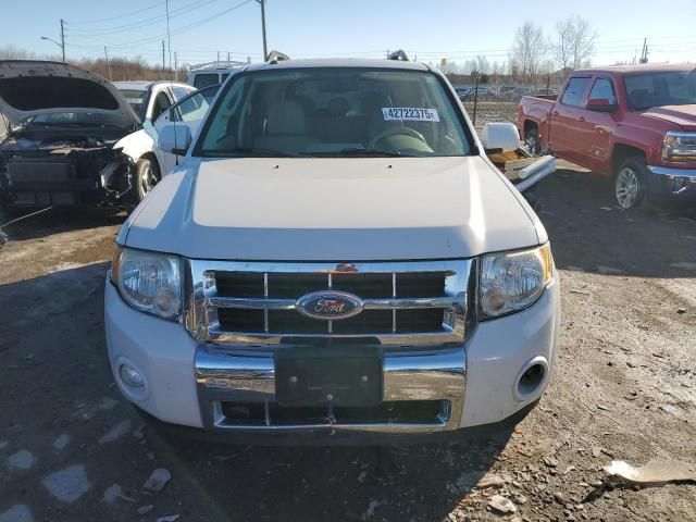 2009 Ford Escape Limited