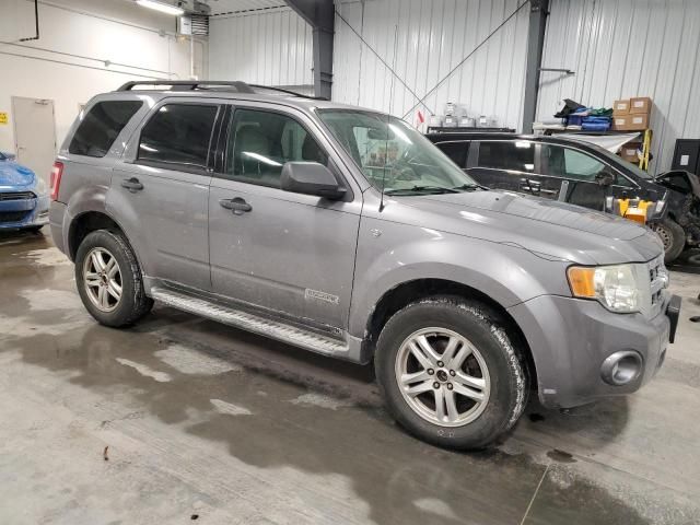 2008 Ford Escape XLT