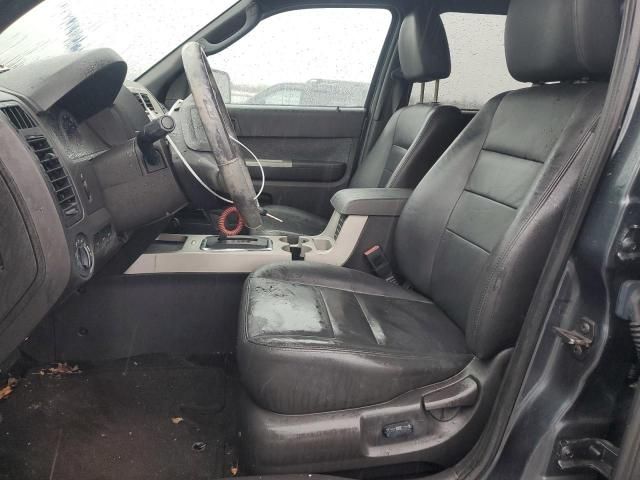 2009 Ford Escape XLT