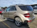 2010 Mercedes-Benz ML 350