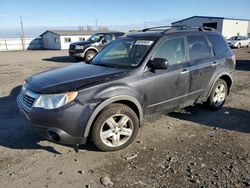 Salvage cars for sale from Copart Airway Heights, WA: 2009 Subaru Forester 2.5X Premium