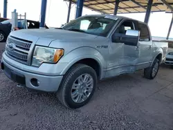 Vehiculos salvage en venta de Copart Phoenix, AZ: 2011 Ford F150 Supercrew