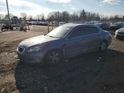 Salvage cars for sale at Chalfont, PA auction: 2008 Honda Accord LXP