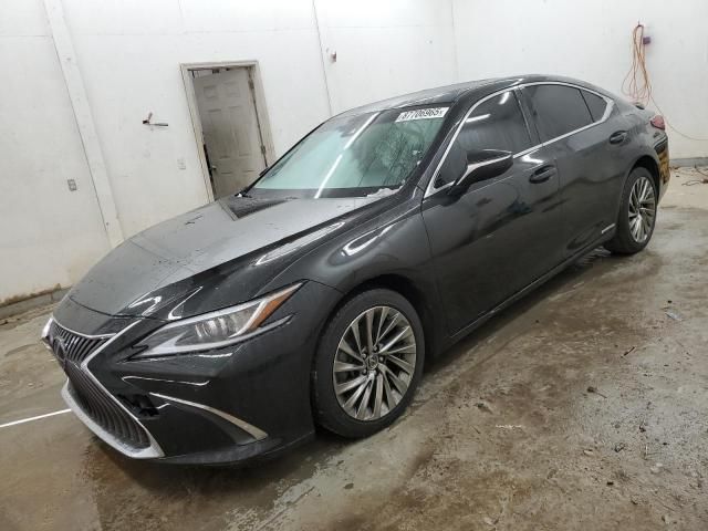 2019 Lexus ES 300H