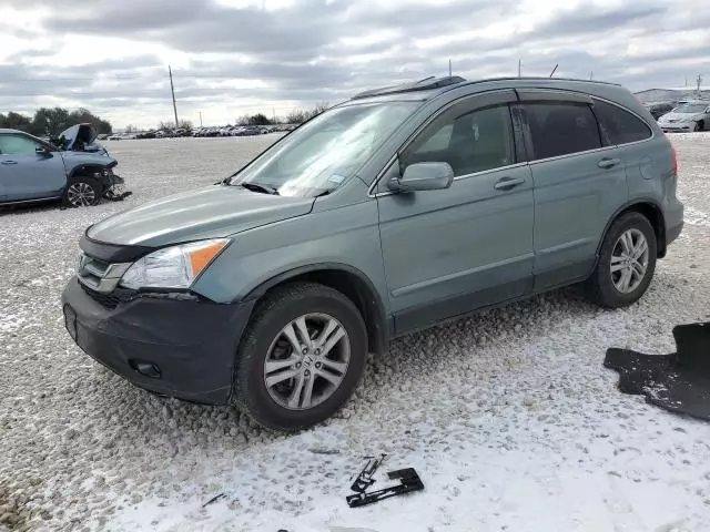 2010 Honda CR-V EXL