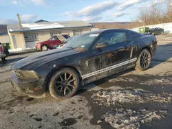 Ford salvage cars for sale: 2010 Ford Mustang