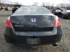 2010 Honda Accord EX