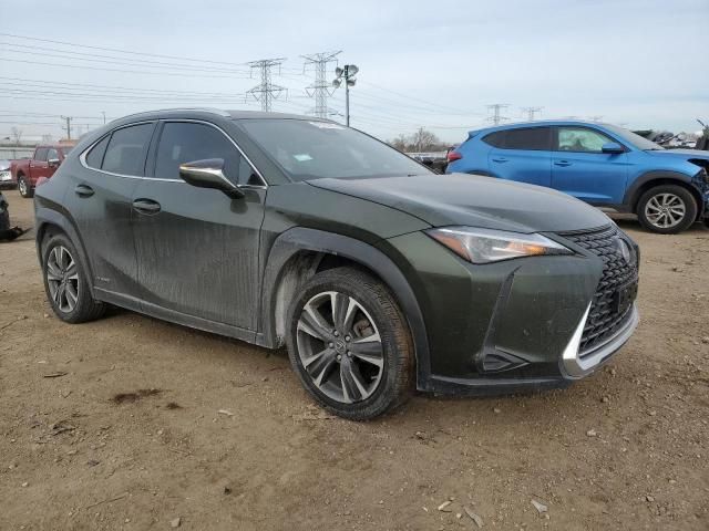 2020 Lexus UX 250H