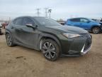 2020 Lexus UX 250H