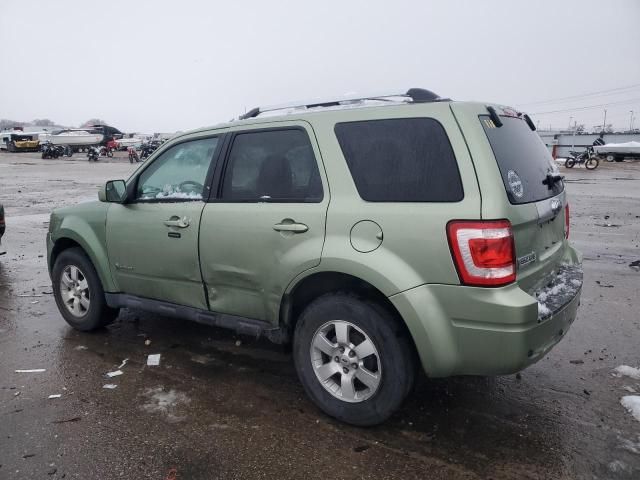 2010 Ford Escape Hybrid