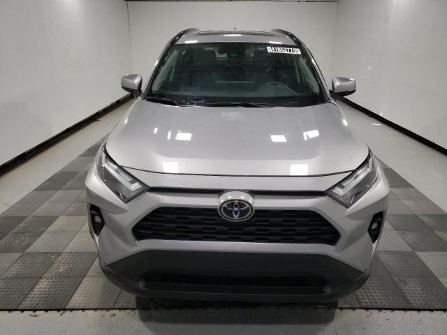 2023 Toyota Rav4 XLE Premium