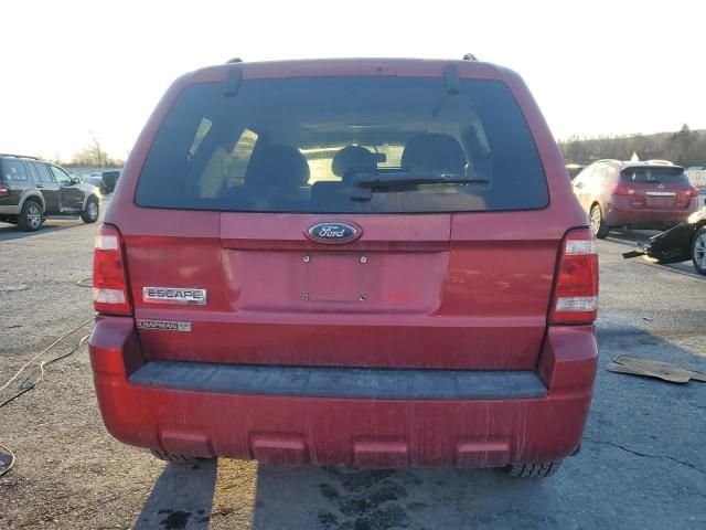 2008 Ford Escape XLT