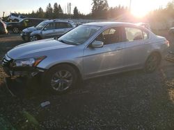 Honda Accord salvage cars for sale: 2012 Honda Accord SE