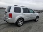 2009 Honda Pilot EXL