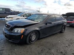 Salvage cars for sale at Eugene, OR auction: 2012 Chevrolet Caprice Police