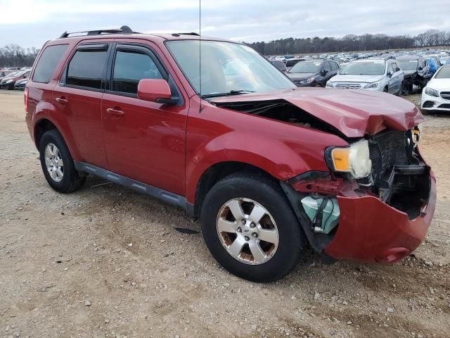 2010 Ford Escape Limited