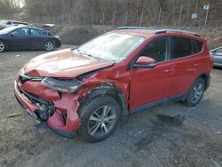 Salvage cars for sale at Marlboro, NY auction: 2016 Toyota Rav4 XLE