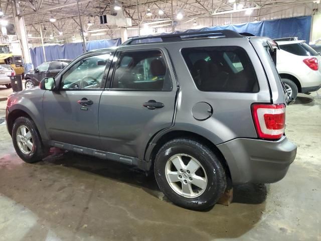 2010 Ford Escape XLT