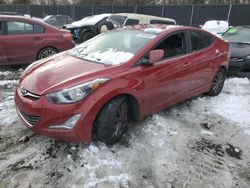 Salvage cars for sale at Waldorf, MD auction: 2016 Hyundai Elantra SE