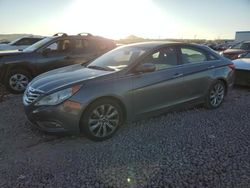 Salvage cars for sale at Phoenix, AZ auction: 2013 Hyundai Sonata SE