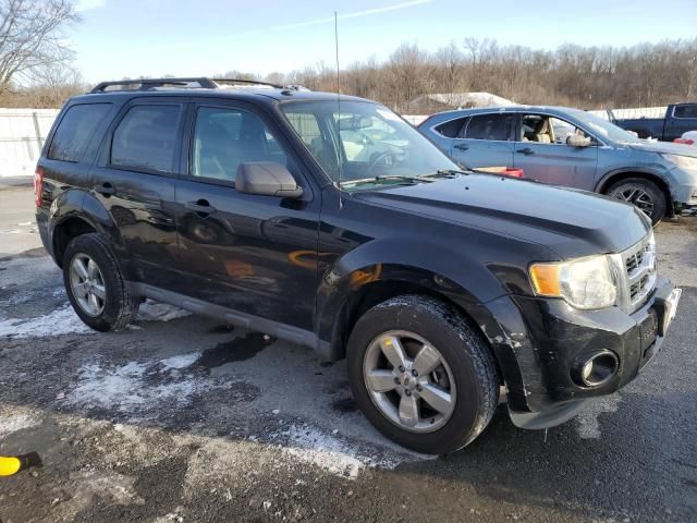 2012 Ford Escape XLT