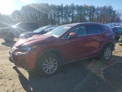 Salvage cars for sale at North Billerica, MA auction: 2019 Lexus NX 300 Base