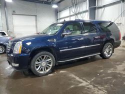 Cadillac salvage cars for sale: 2008 Cadillac Escalade ESV