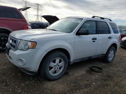 Salvage cars for sale at Elgin, IL auction: 2011 Ford Escape XLT