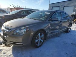 Salvage cars for sale at Cahokia Heights, IL auction: 2011 Chevrolet Malibu 1LT