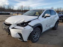 Salvage cars for sale at Marlboro, NY auction: 2019 Lexus NX 300 Base