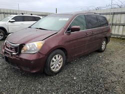 Honda salvage cars for sale: 2010 Honda Odyssey EX