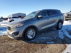 Salvage cars for sale at Amarillo, TX auction: 2016 KIA Sorento LX