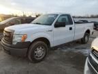 2013 Ford F150