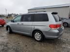 2010 Honda Odyssey EXL