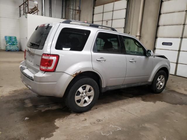 2009 Ford Escape Limited