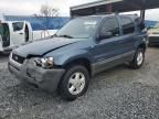 2001 Ford Escape XLT