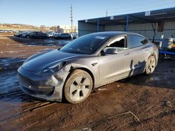 Salvage cars for sale at auction: 2023 Tesla Model 3